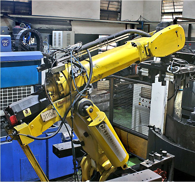 GMT plants