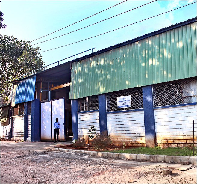 GMT plants