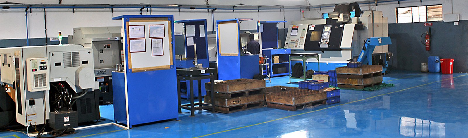 GMT plants